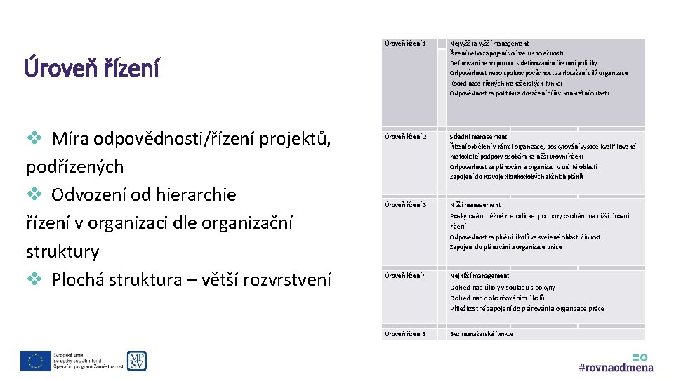 Úroveň řízení 1 Řízení nebo zapojení do řízení společnosti Definování nebo pomoc s definováním