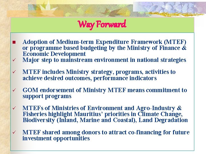 Way Forward n ü Adoption of Medium-term Expenditure Framework (MTEF) or programme based budgeting