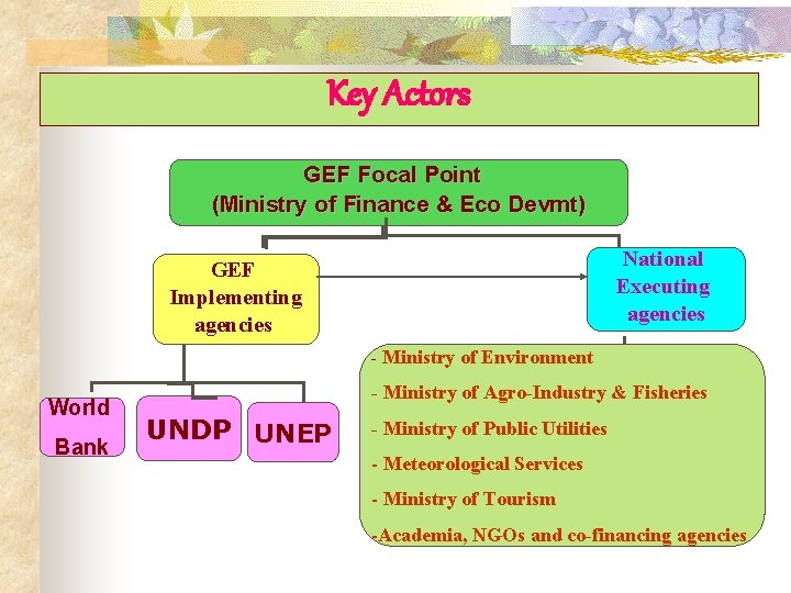 Key Actors GEF Focal Point (Ministry of Finance & Eco Devmt) National Executing agencies