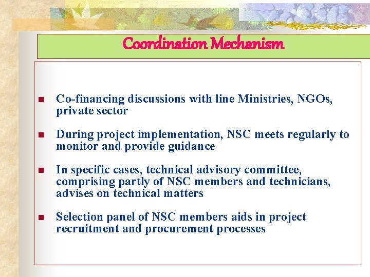 Coordination Mechanism n Co-financing discussions with line Ministries, NGOs, private sector n During project