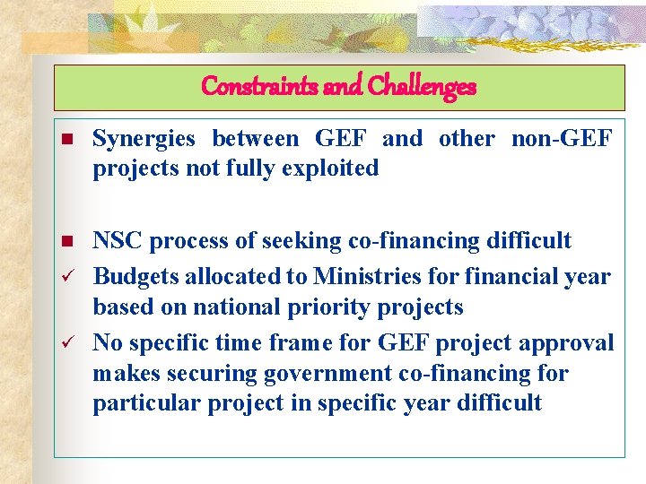 Constraints and Challenges n Synergies between GEF and other non-GEF projects not fully exploited