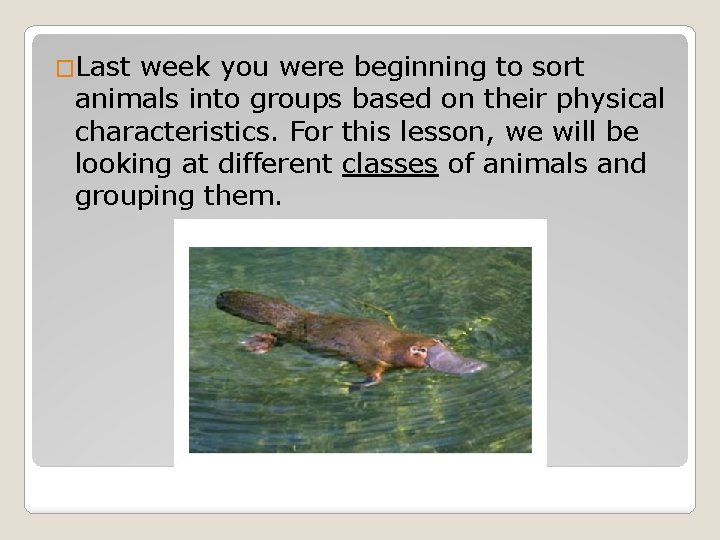 �Last week you were beginning to sort animals into groups based on their physical