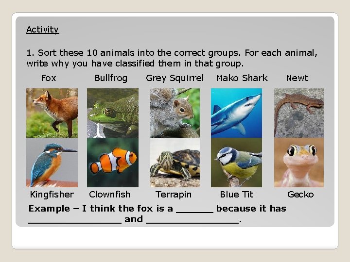 Activity 1. Sort these 10 animals into the correct groups. For each animal, write