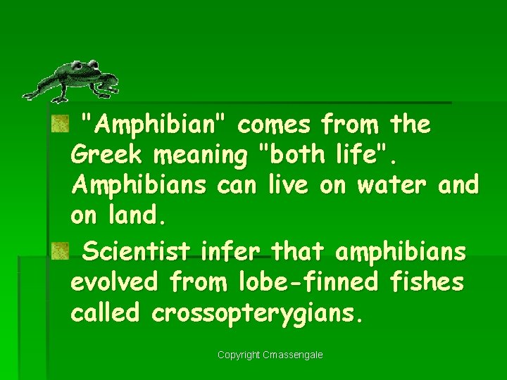 "Amphibian" comes from the Greek meaning "both life". Amphibians can live on water and
