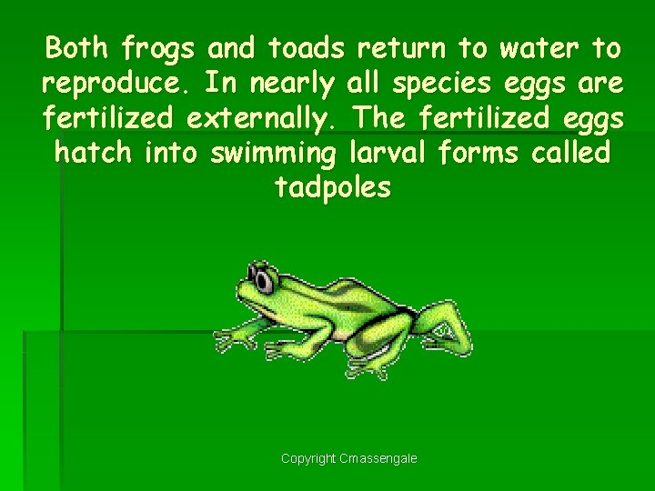 Both frogs and toads return to water to reproduce. In nearly all species eggs