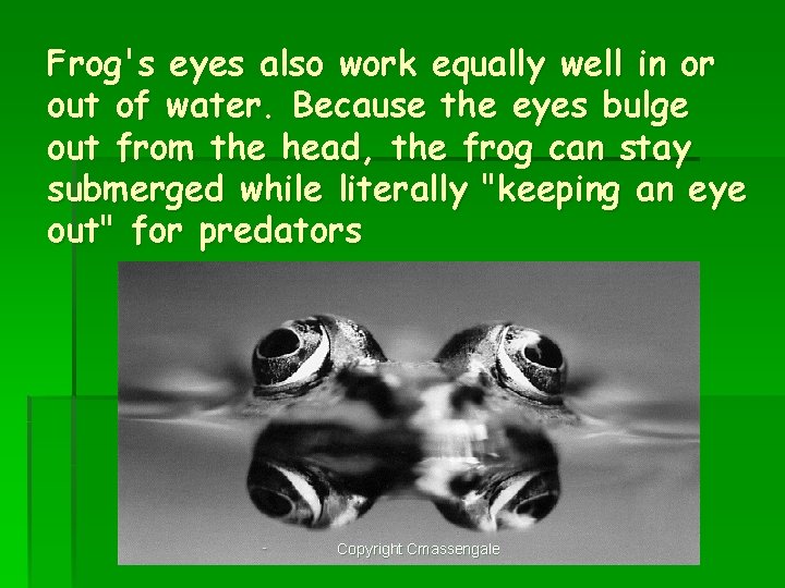 Frog's eyes also work equally well in or out of water. Because the eyes