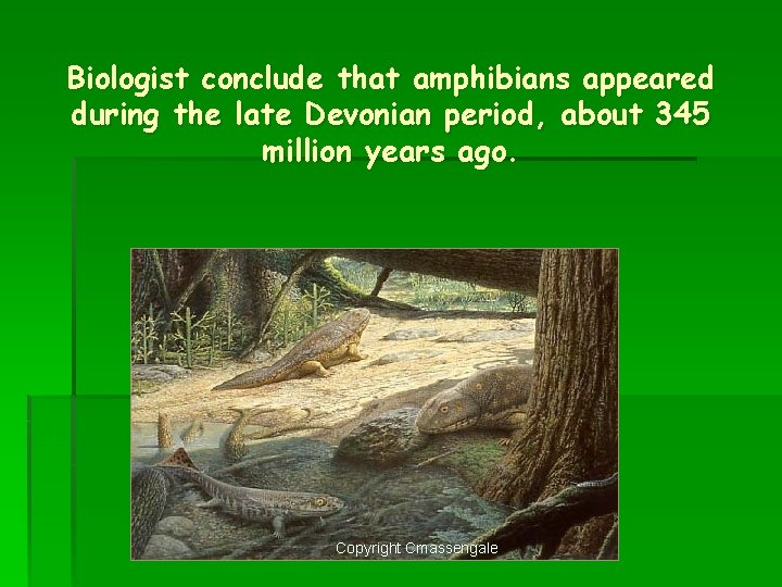 Biologist conclude that amphibians appeared during the late Devonian period, about 345 million years