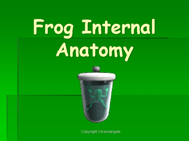 Frog Internal Anatomy Copyright Cmassengale 