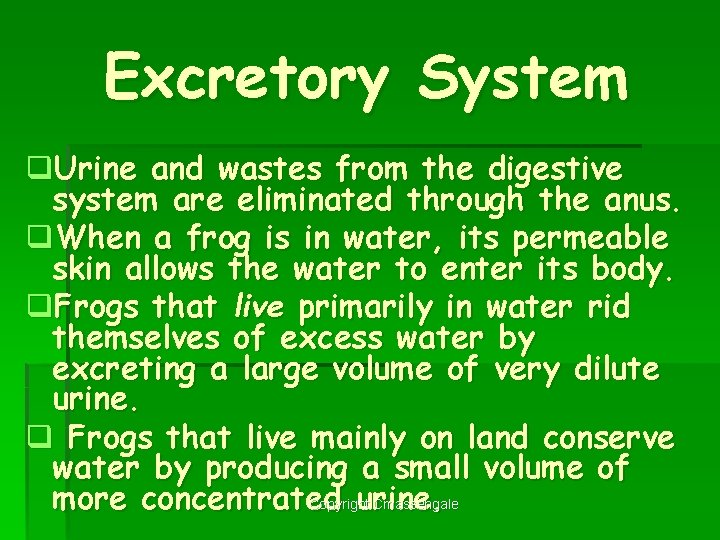 Excretory System q. Urine and wastes from the digestive system are eliminated through the