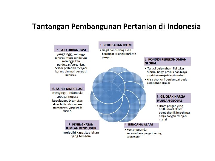 Tantangan Pembangunan Pertanian di Indonesia 