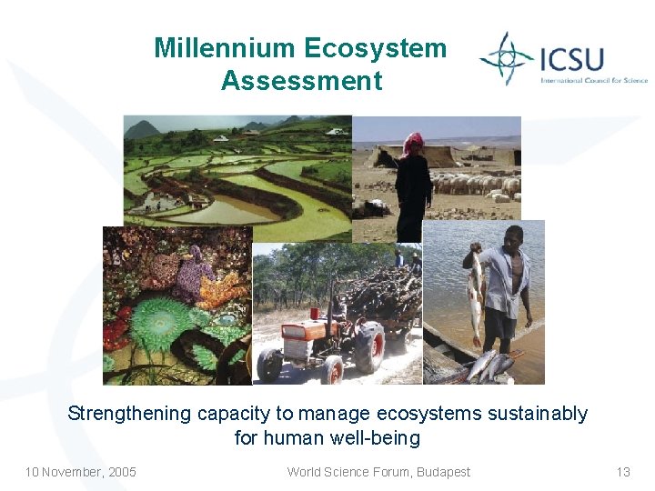 Millennium Ecosystem Assessment Strengthening capacity to manage ecosystems sustainably for human well-being 10 November,