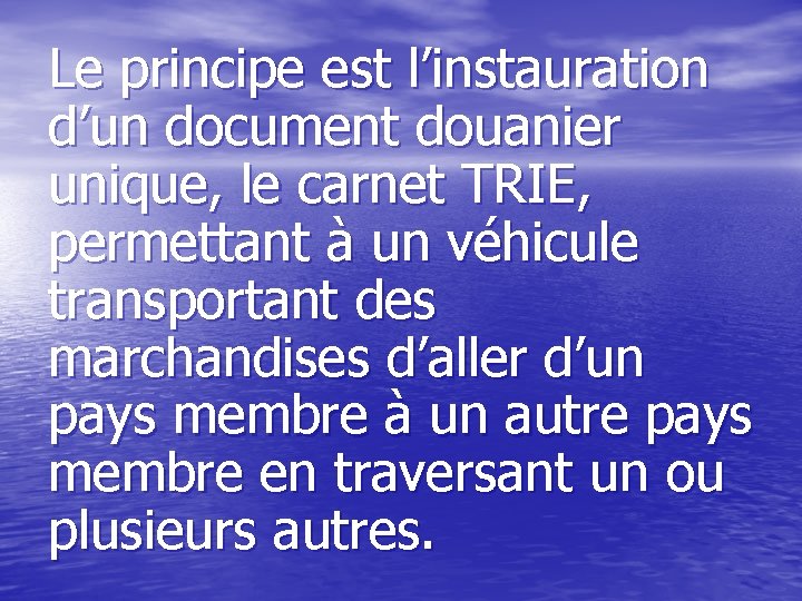 Le principe est l’instauration d’un document douanier unique, le carnet TRIE, permettant à un