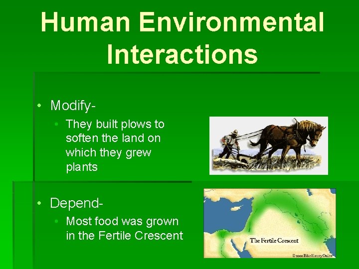 Human Environmental Interactions • Modify • They built plows to soften the land on