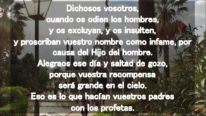 Dichosos vosotros, cuando os odien los hombres, y os excluyan, y os insulten, y