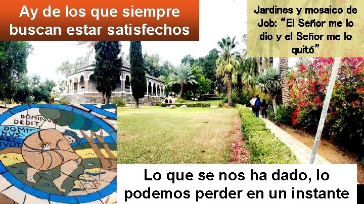 Ay de los que siempre buscan estar satisfechos Jardines y mosaico de Job: “El