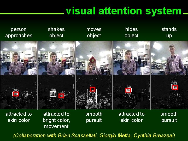 visual attention system person approaches shakes object moves object hides object stands up attracted
