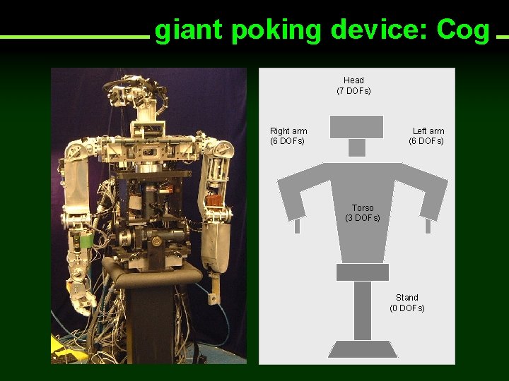 giant poking device: Cog Head (7 DOFs) Right arm (6 DOFs) Left arm (6