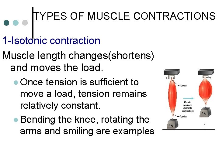 TYPES OF MUSCLE CONTRACTIONS 1 -Isotonic contraction Muscle length changes(shortens) and moves the load.