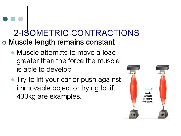 2 -ISOMETRIC CONTRACTIONS ¢ Muscle length remains constant Muscle attempts to move a load