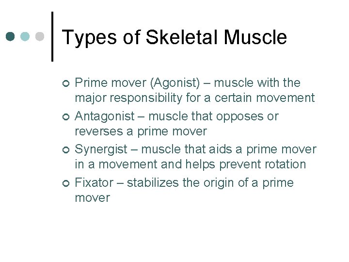 Types of Skeletal Muscle ¢ ¢ Prime mover (Agonist) – muscle with the major