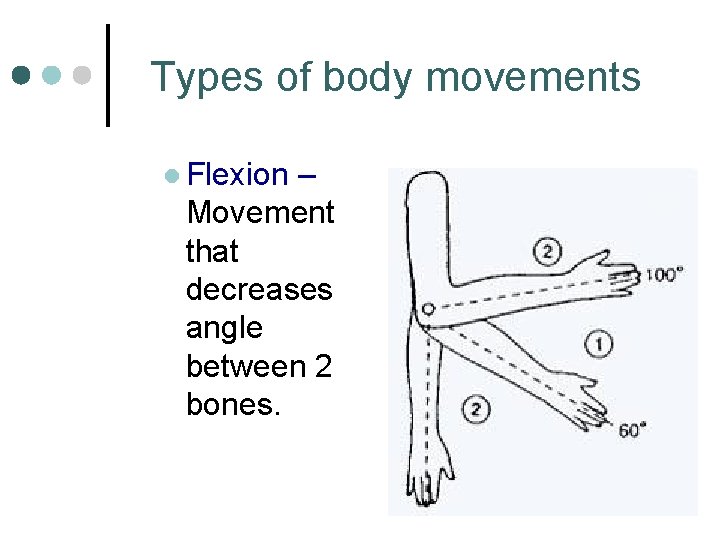 Types of body movements l Flexion – Movement that decreases angle between 2 bones.