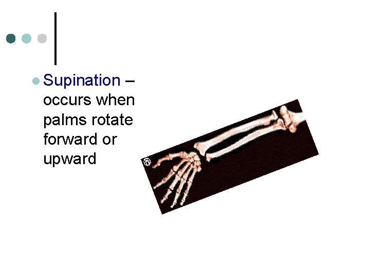 l Supination – occurs when palms rotate forward or upward 