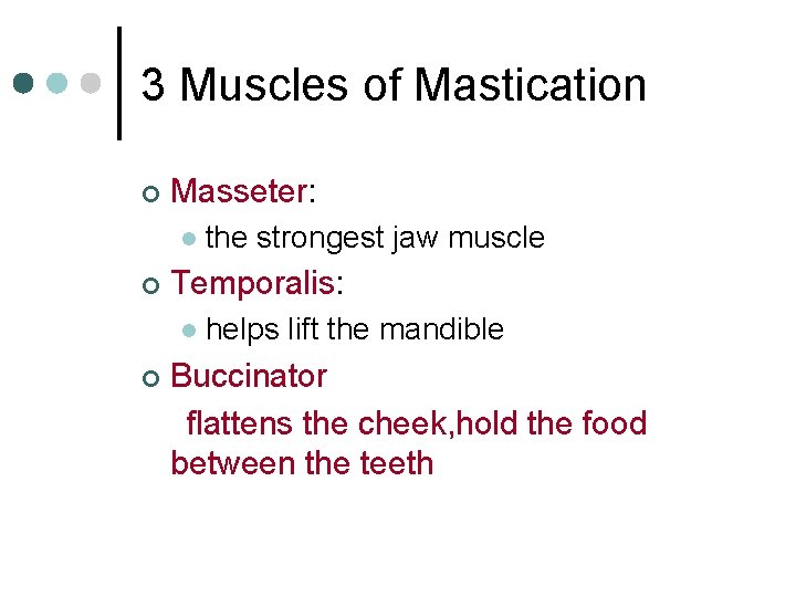 3 Muscles of Mastication ¢ Masseter: l ¢ Temporalis: l ¢ the strongest jaw
