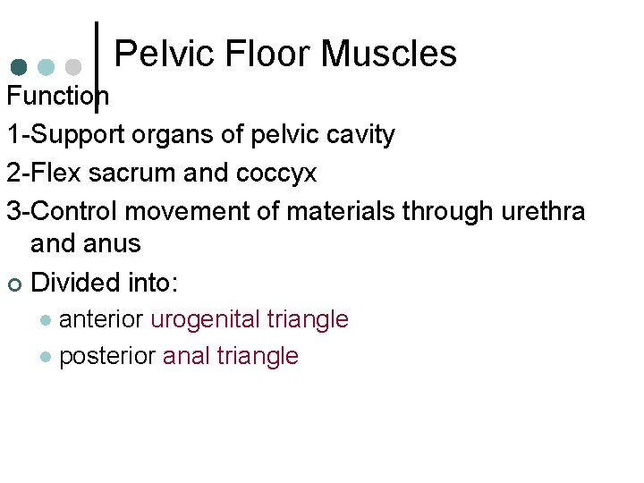 Pelvic Floor Muscles Function 1 -Support organs of pelvic cavity 2 -Flex sacrum and