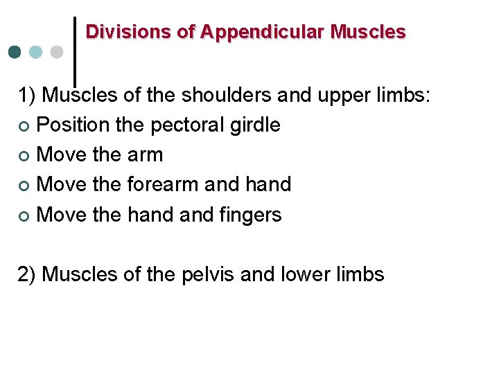 Divisions of Appendicular Muscles 1) Muscles of the shoulders and upper limbs: ¢ Position