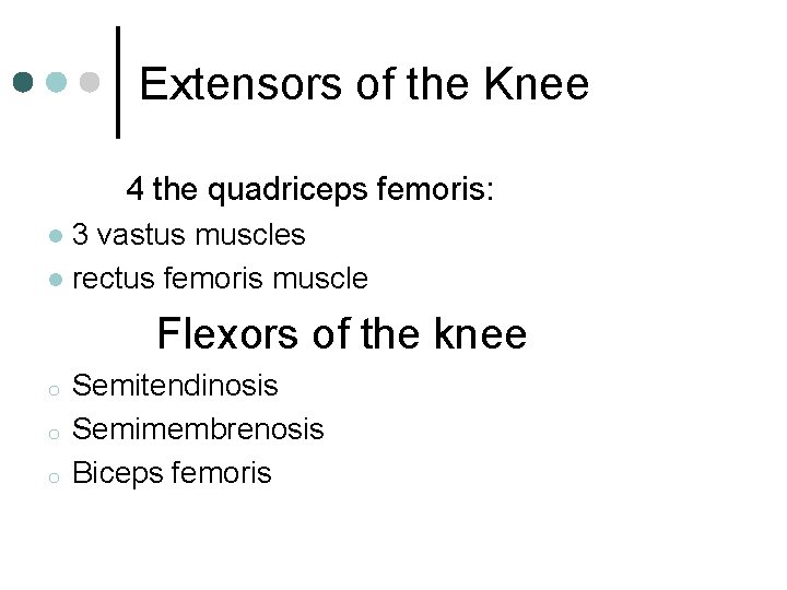 Extensors of the Knee 4 the quadriceps femoris: 3 vastus muscles l rectus femoris