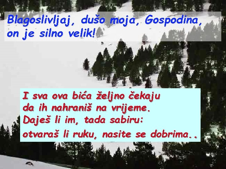 Blagoslivljaj, dušo moja, Gospodina, on je silno velik! I sva ova bića željno čekaju