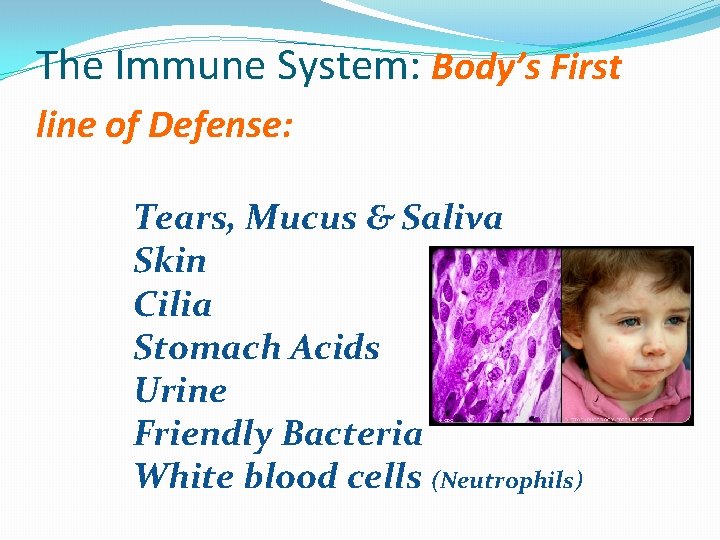 The Immune System: Body’s First line of Defense: Tears, Mucus & Saliva Skin Cilia
