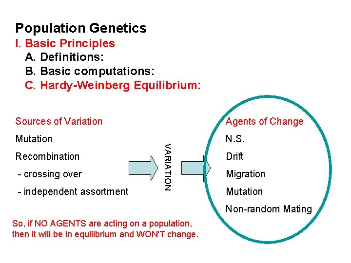 Population Genetics I. Basic Principles A. Definitions: B. Basic computations: C. Hardy-Weinberg Equilibrium: Agents