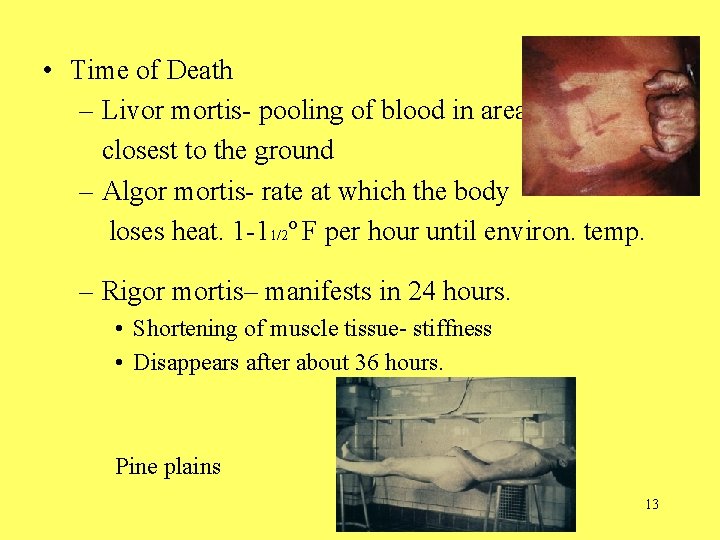  • Time of Death – Livor mortis- pooling of blood in areas closest