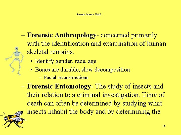 Forensic Science- Unit I – Forensic Anthropology- concerned primarily with the identification and examination