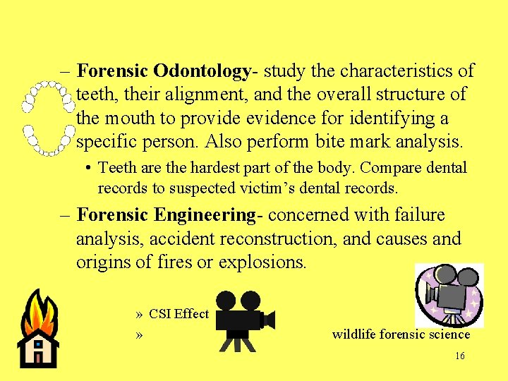 – Forensic Odontology- study the characteristics of teeth, their alignment, and the overall structure