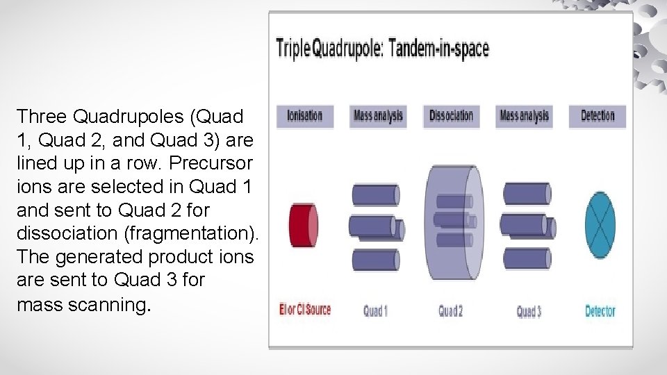 Three Quadrupoles (Quad 1, Quad 2, and Quad 3) are lined up in a