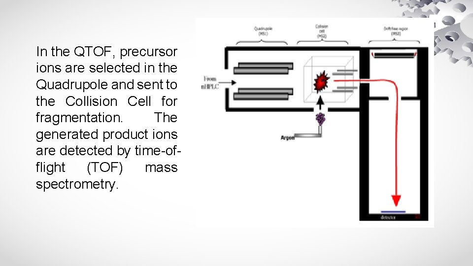 In the QTOF, precursor ions are selected in the Quadrupole and sent to the