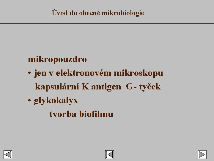 Úvod do obecné mikrobiologie mikropouzdro • jen v elektronovém mikroskopu kapsulární K antigen G-