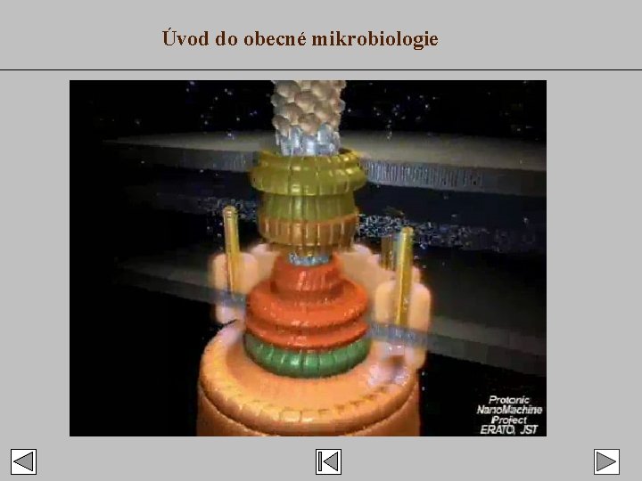 Úvod do obecné mikrobiologie 