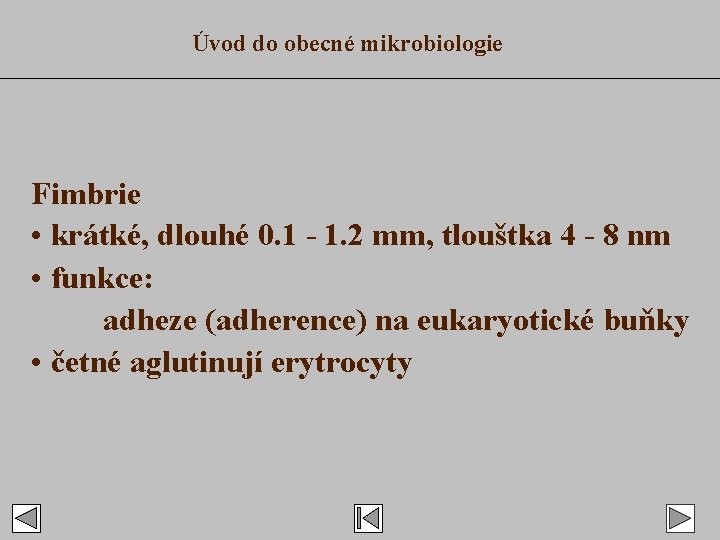 Úvod do obecné mikrobiologie Fimbrie • krátké, dlouhé 0. 1 - 1. 2 mm,