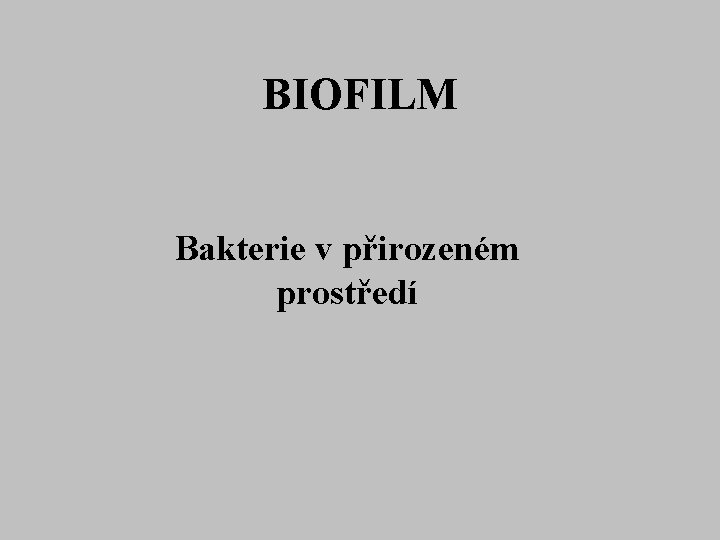 BIOFILM Bakterie v přirozeném prostředí 