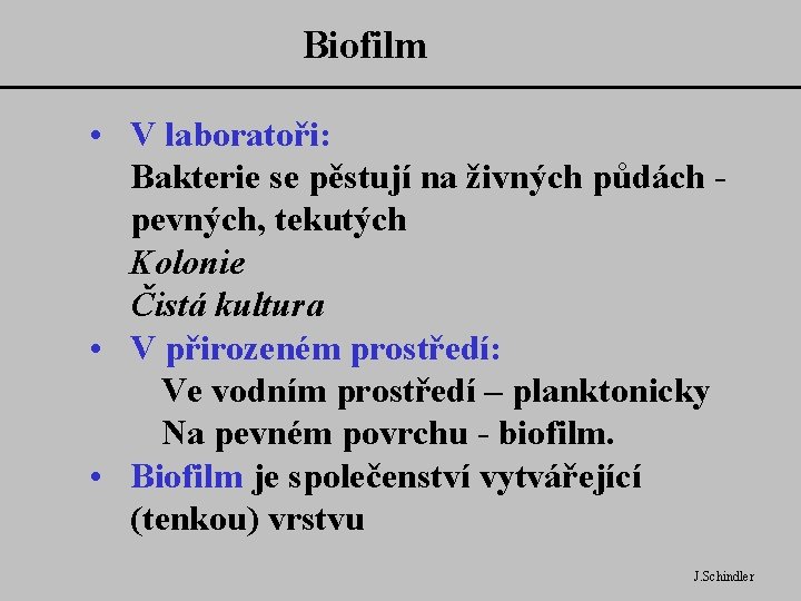 Biofilm • V laboratoři: Bakterie se pěstují na živných půdách pevných, tekutých Kolonie Čistá