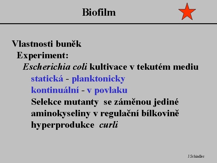 Biofilm Vlastnosti buněk Experiment: Escherichia coli kultivace v tekutém mediu statická - planktonicky kontinuální