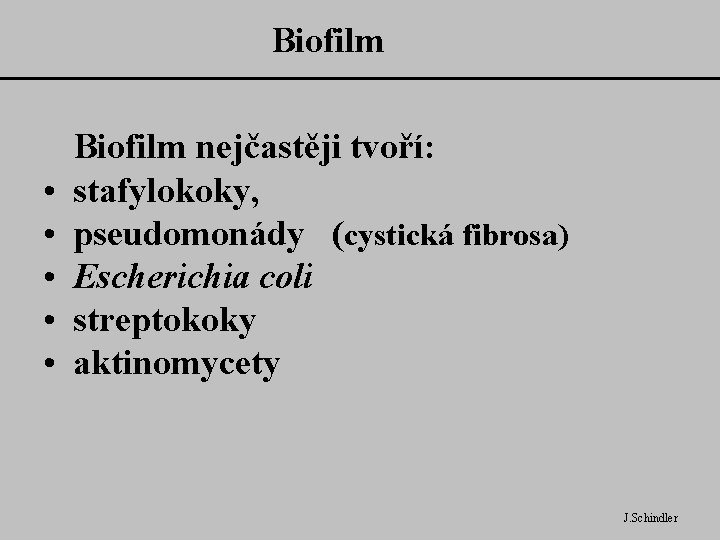 Biofilm • • • Biofilm nejčastěji tvoří: stafylokoky, pseudomonády (cystická fibrosa) Escherichia coli streptokoky