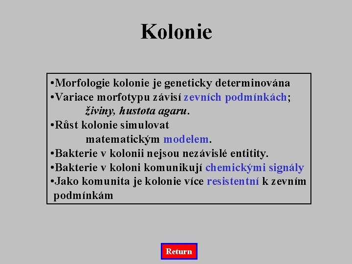 Kolonie • Morfologie kolonie je geneticky determinována • Variace morfotypu závisí zevních podmínkách; živiny,