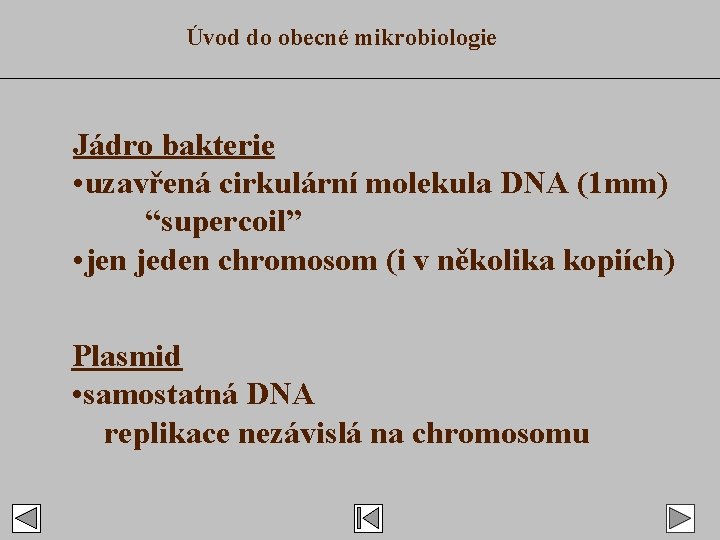 Úvod do obecné mikrobiologie Jádro bakterie • uzavřená cirkulární molekula DNA (1 mm) “supercoil”