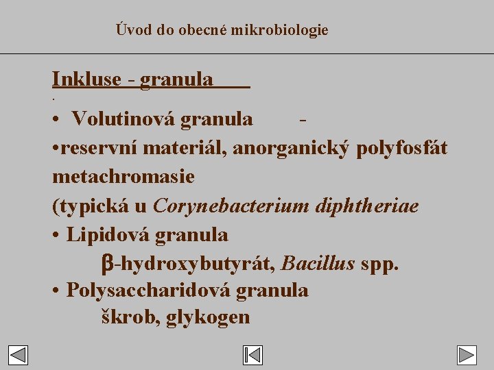 Úvod do obecné mikrobiologie Inkluse - granula. • Volutinová granula • reservní materiál, anorganický