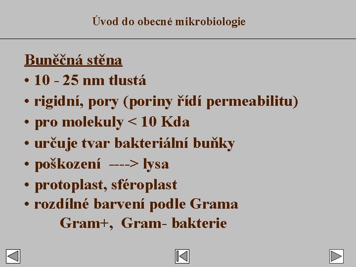 Úvod do obecné mikrobiologie Buněčná stěna • 10 - 25 nm tlustá • rigidní,