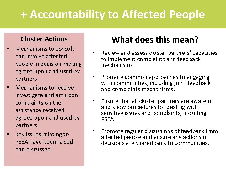 + Accountability to Affected People Cluster Actions § Mechanisms to consult and involve affected